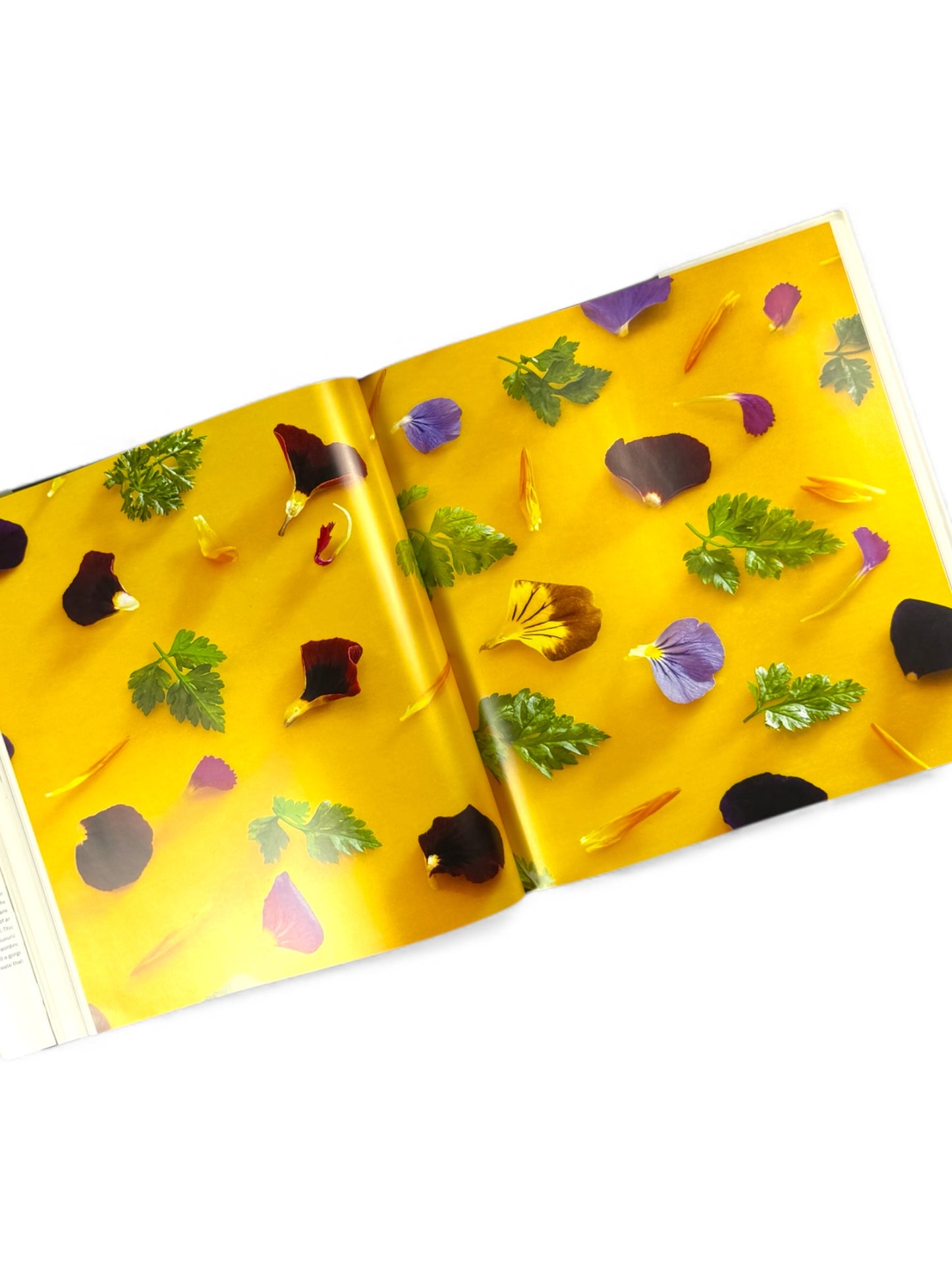 Inscribed and Signed x 2 - Daniel Humm and Will Guidara - Eleven Madison Park The Cookbook