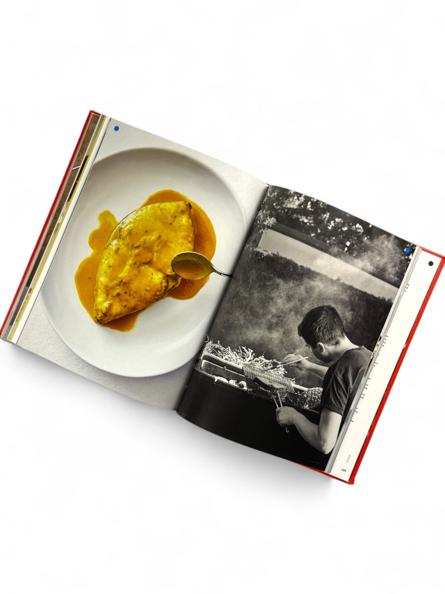 Take One Fish: The New School of Scale-to-Tail Cooking and Eating by Josh Niland