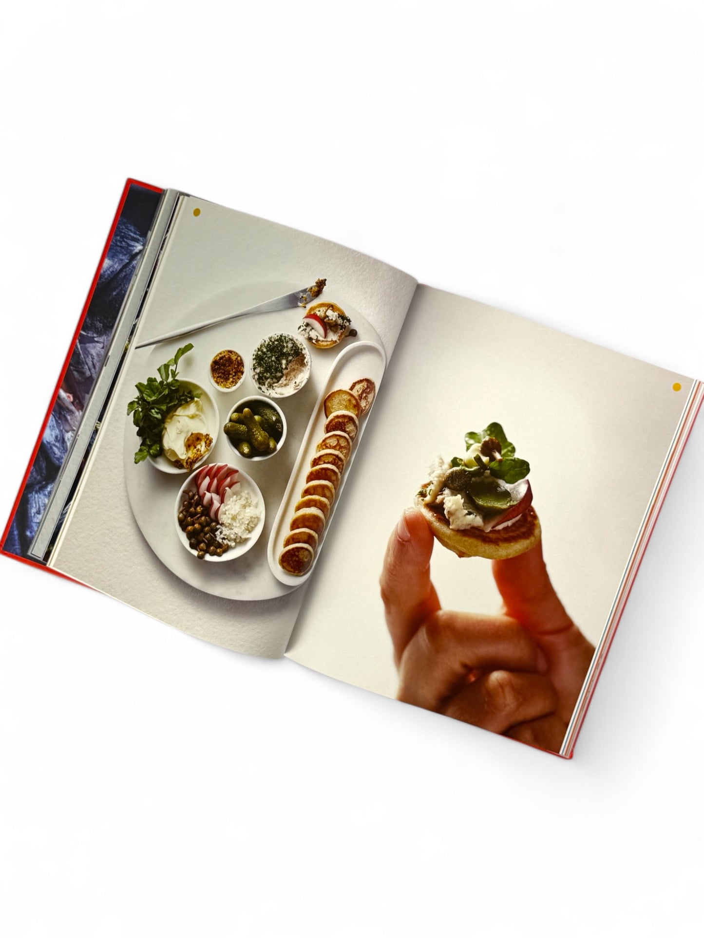 Take One Fish: The New School of Scale-to-Tail Cooking and Eating by Josh Niland
