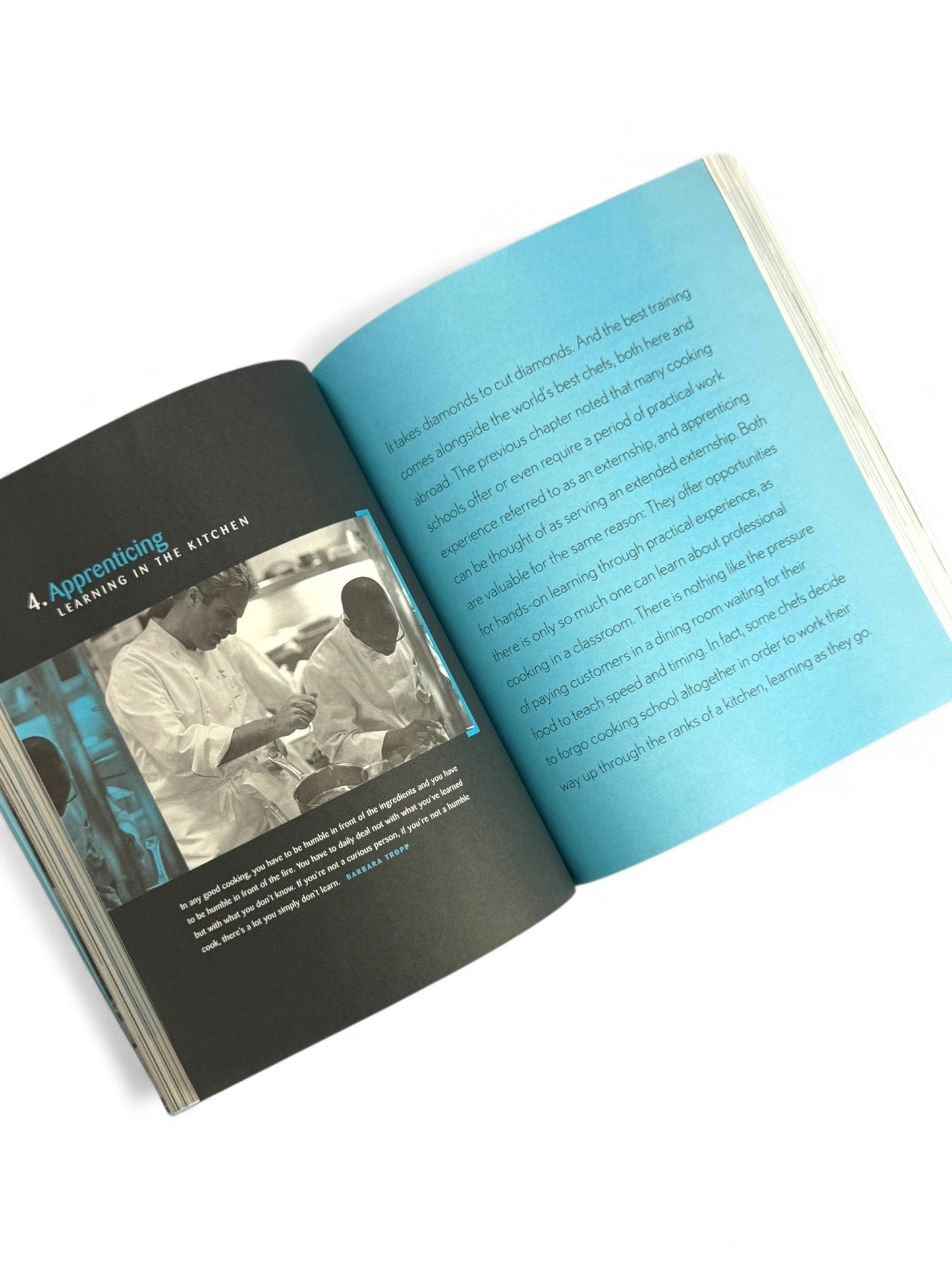 Becoming a Chef by Andrew Dornenberg and Karen Page