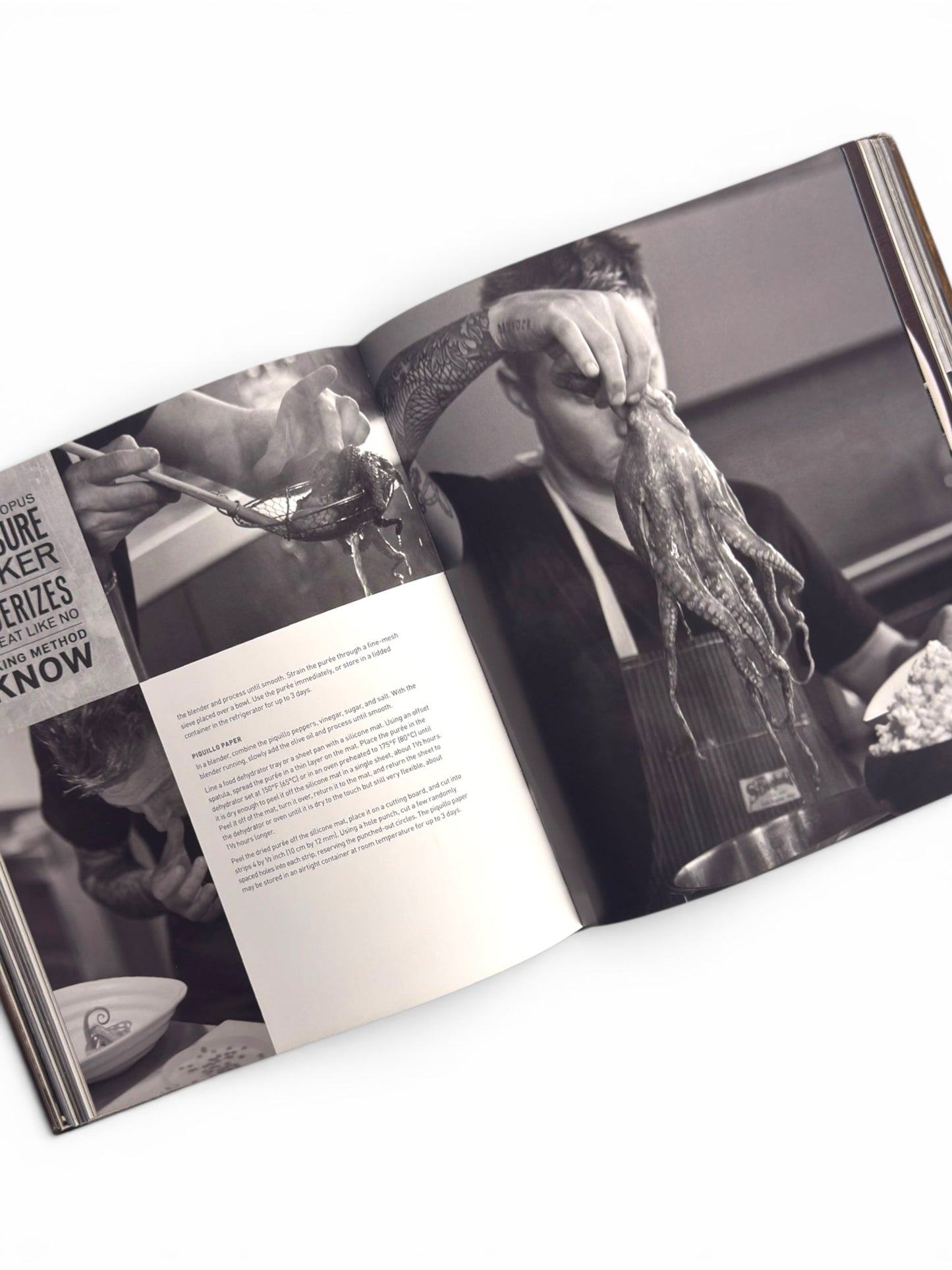 VOLT ink.: Receipes, Stories, Brothers by Bryan and Michael Voltaggio