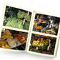 Susur A Culinary Life