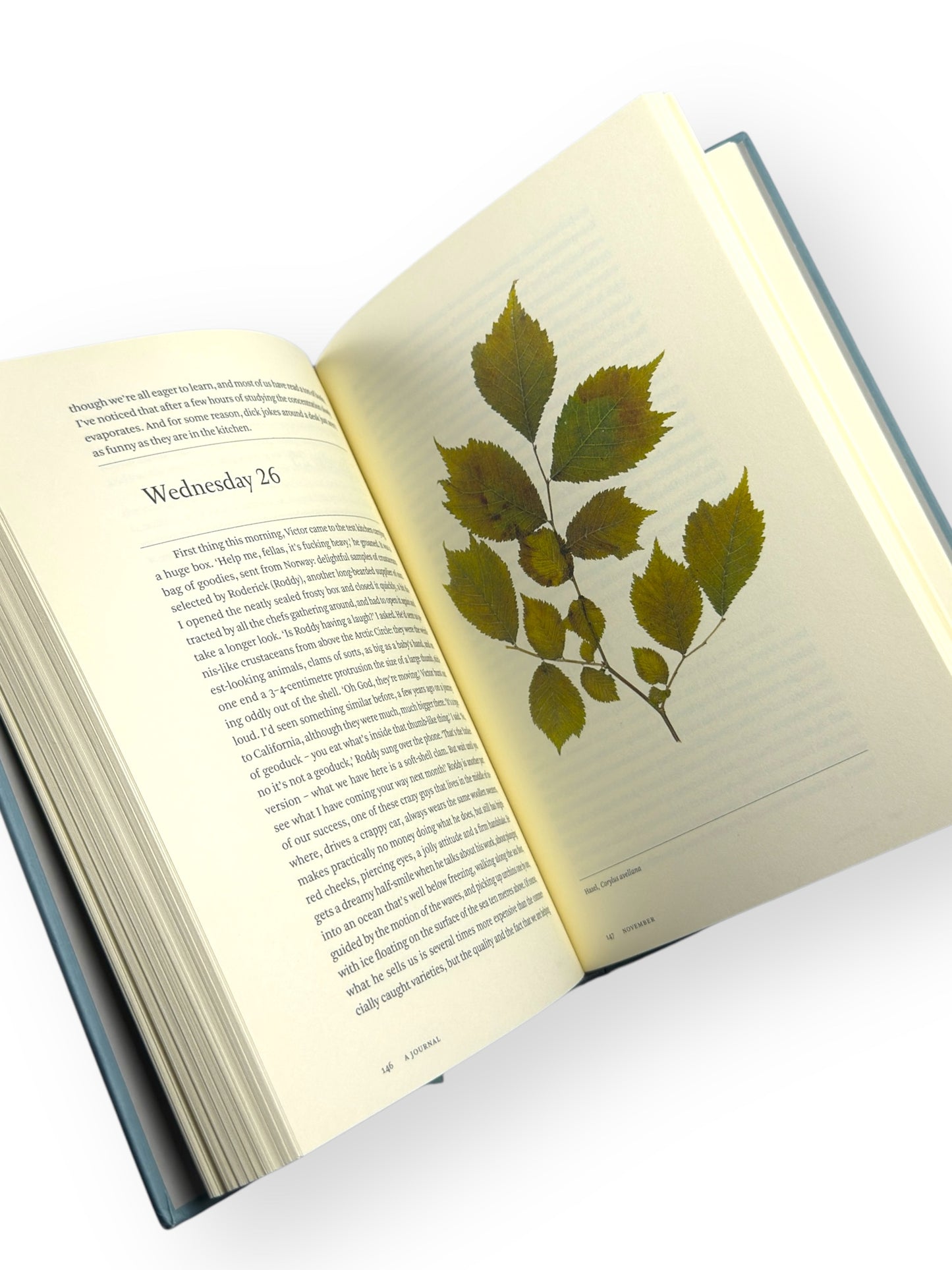 A Work in Progress: A Journal by René Redzepi