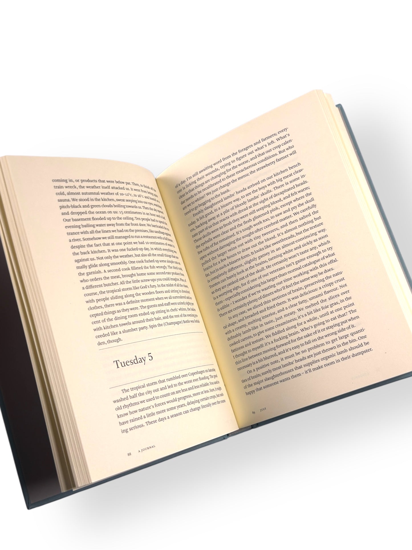 A Work in Progress: A Journal by René Redzepi