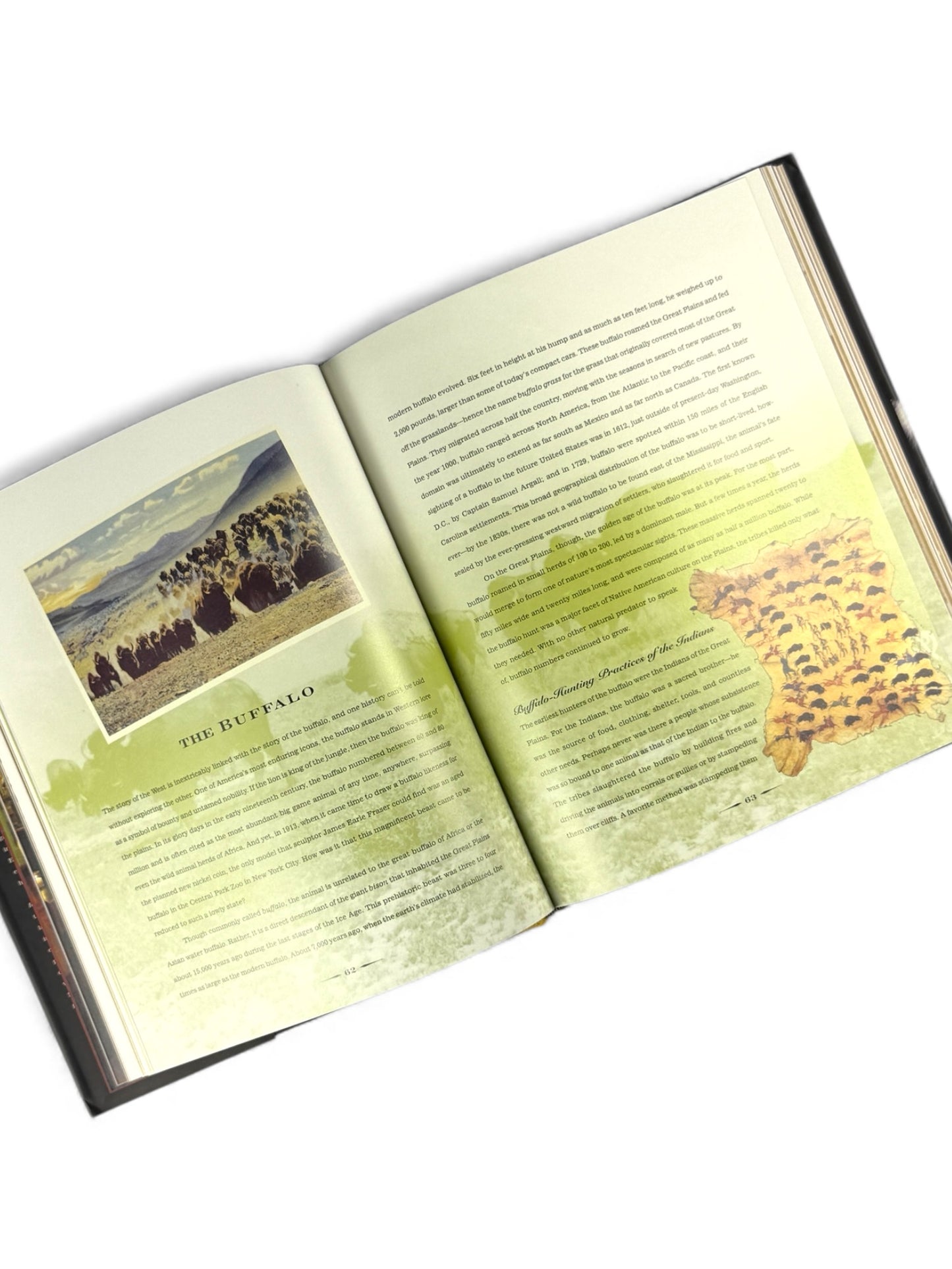 Red Sage: Contemporary Western Cuisine by Mark Miller - First Printing