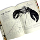 Au Pied de Cochen: The Album by Martin Picard