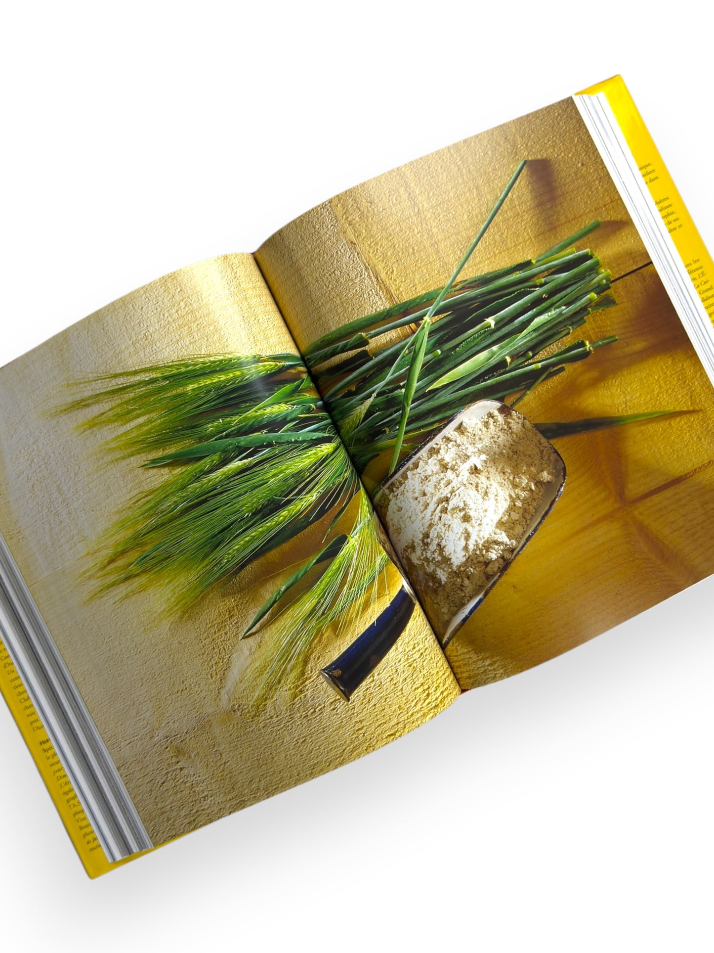 Inscribed - Alain Ducasse - L'Atelier of Alain Ducasse - French Language Edition