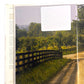 Signed - Patrick O’Connell’s Refined American Cuisine - First Edition