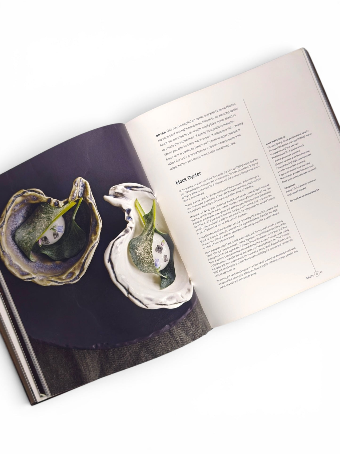 VOLT ink.: Receipes, Stories, Brothers by Bryan and Michael Voltaggio