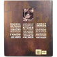 VOLT ink.: Receipes, Stories, Brothers by Bryan and Michael Voltaggio