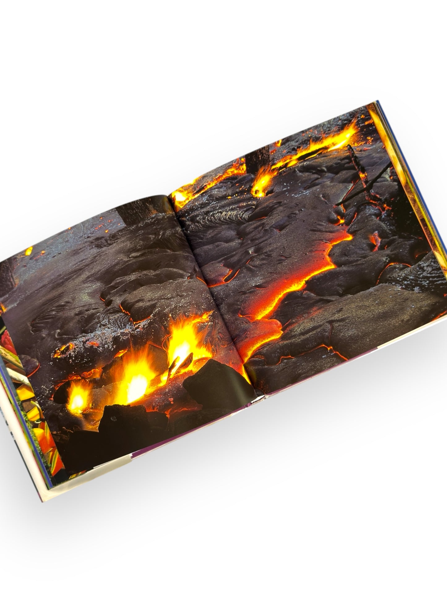 Signed - Roy’s Feasts from Hawaii